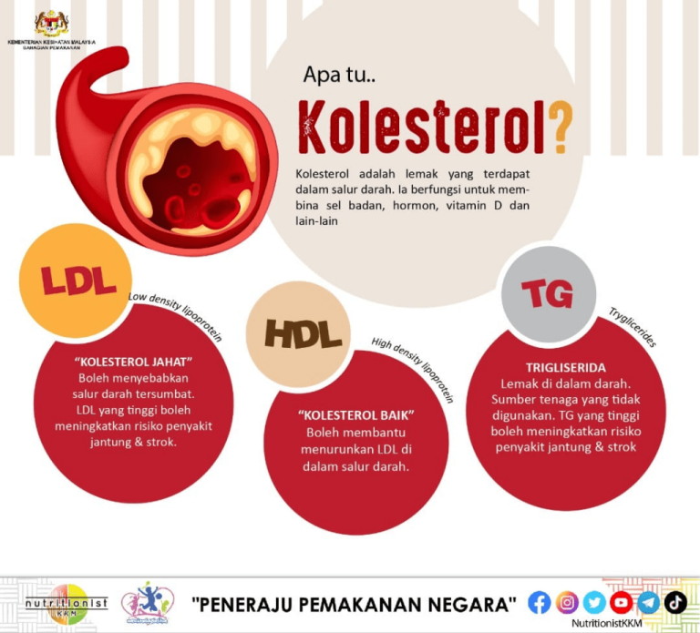 Tips Menjaga Kolesterol Tetap Optimal Panduan Lengkap Untuk Kesehatan Jantung